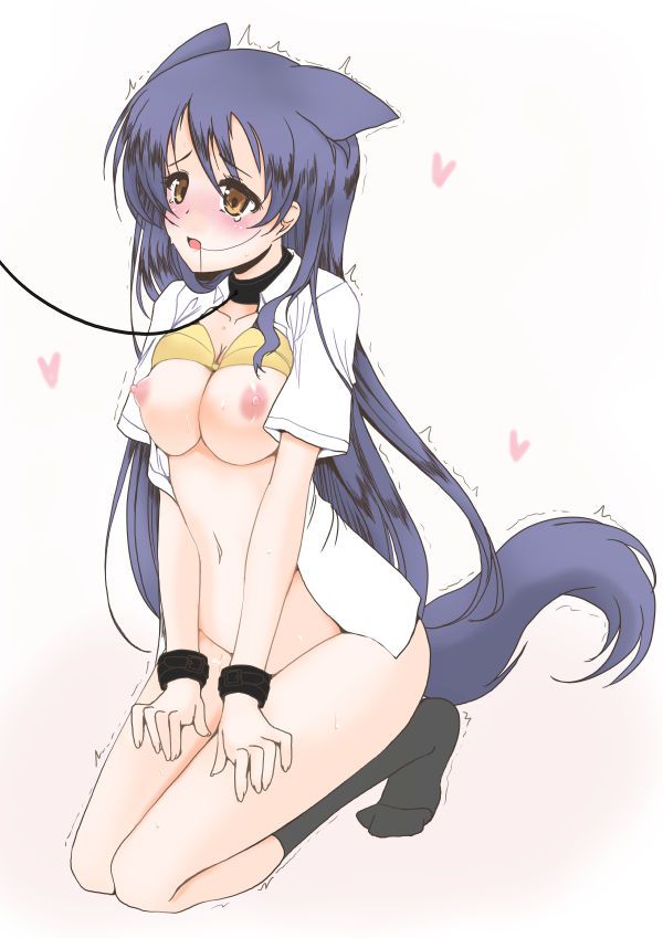 Erotic image A common development when you have a delusion that etches with Sonoda Umi! (Love Live!) ) 1