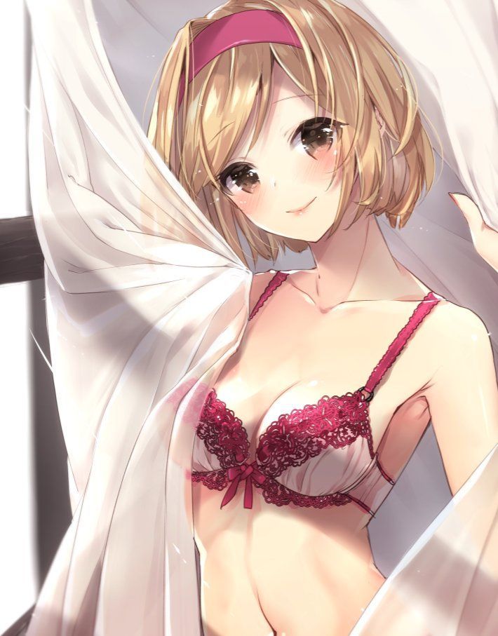 Erotic anime summary Erotic image of a girl who is too while wearing a bra [secondary erotic] 7