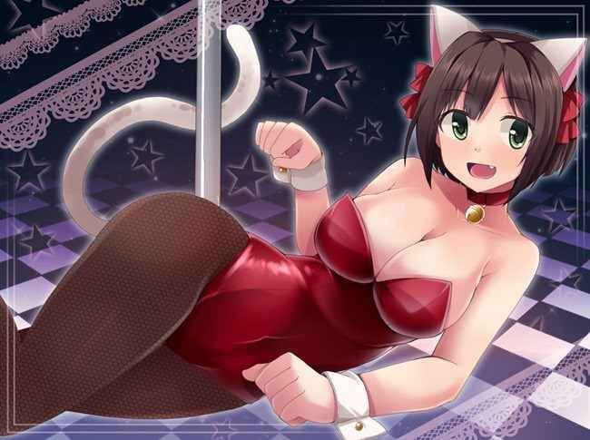 【Erotic Anime Summary】 Here is a collection of erotic images of bunny girl beauties and beautiful girls dressed as [50 photos] 2