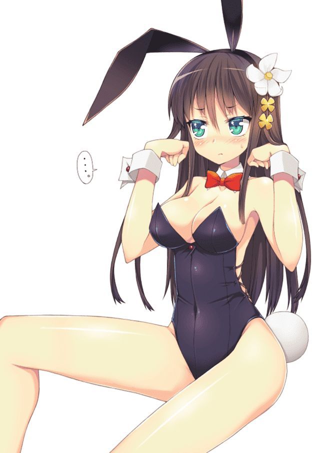 【Erotic Anime Summary】 Here is a collection of erotic images of bunny girl beauties and beautiful girls dressed as [50 photos] 41