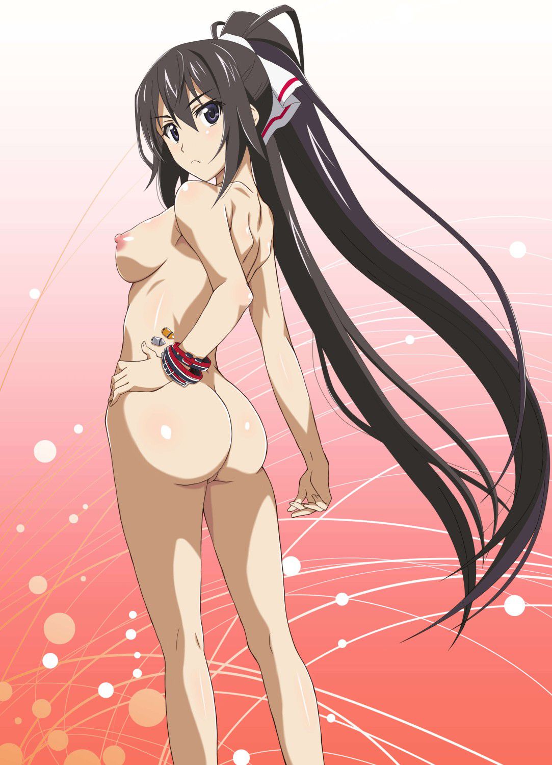 Stripped Kora of IS (Infinite Stratos) Part 31 6