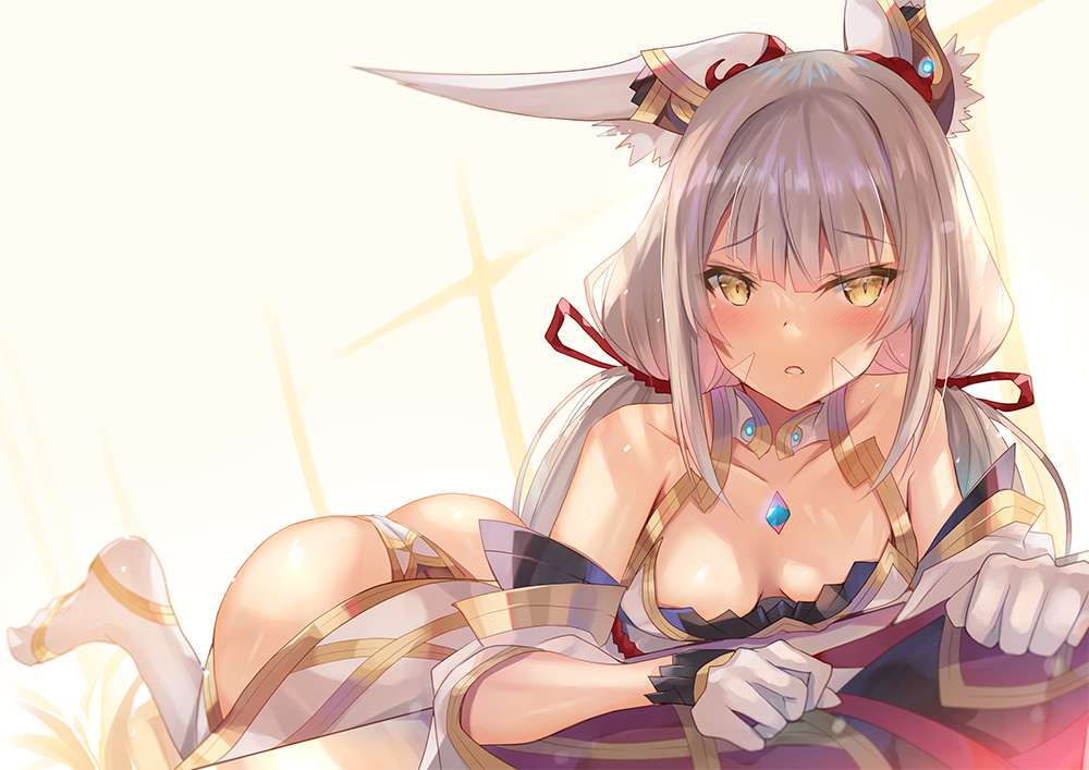 [Xenoblade 2] Nia erotic image [Xenoblade2] 15