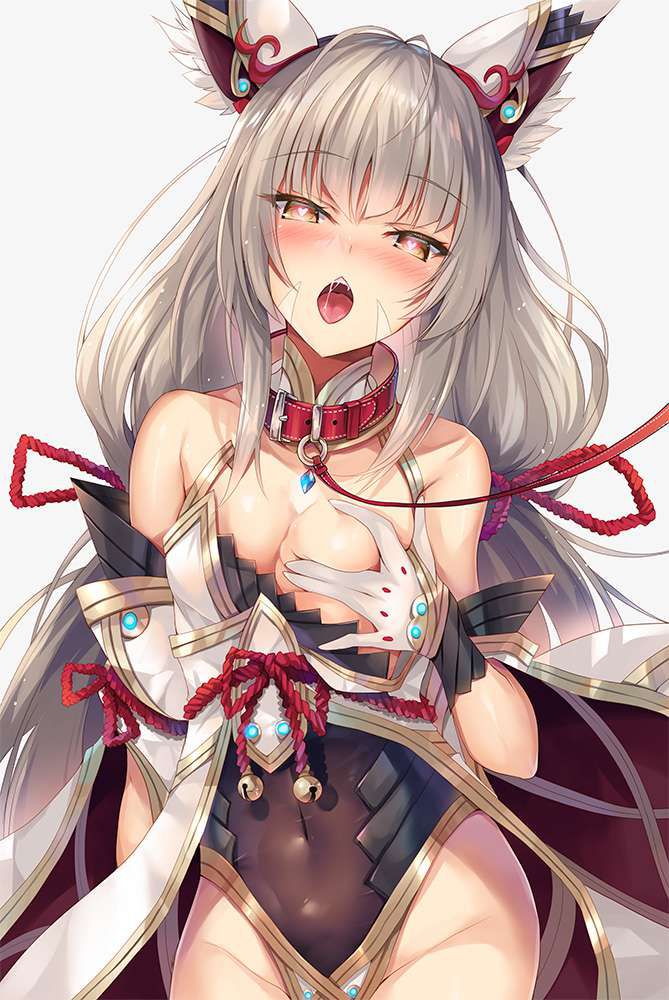 [Xenoblade 2] Nia erotic image [Xenoblade2] 48