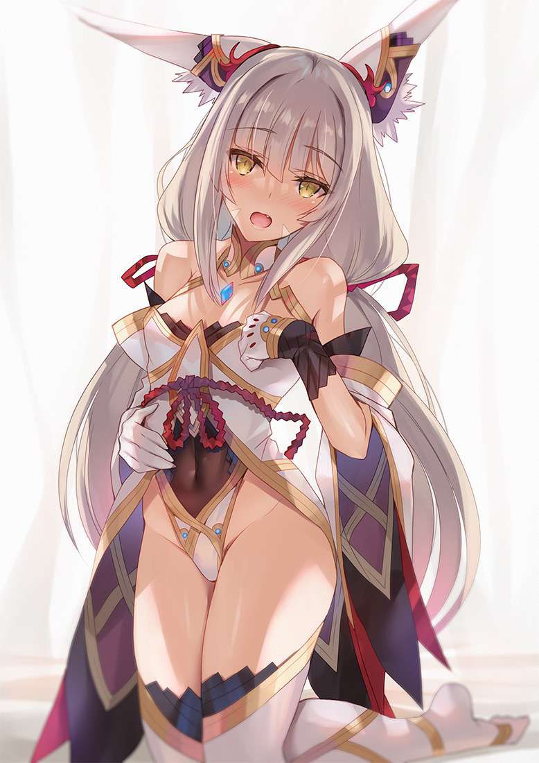 [Xenoblade 2] Nia erotic image [Xenoblade2] 7