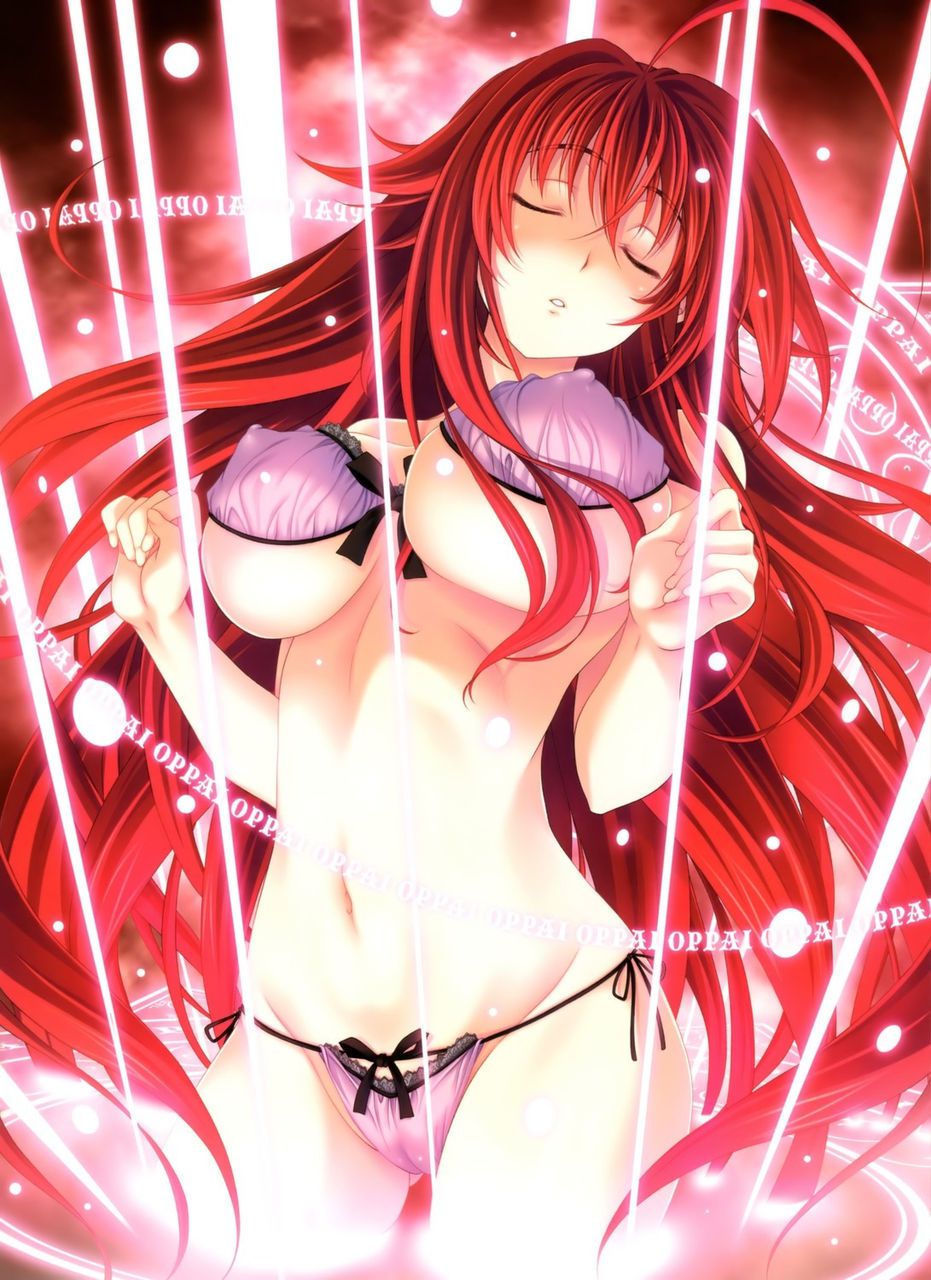 Rias's erotic secondary erotic images are full of boobs! 【High School D×D】 13
