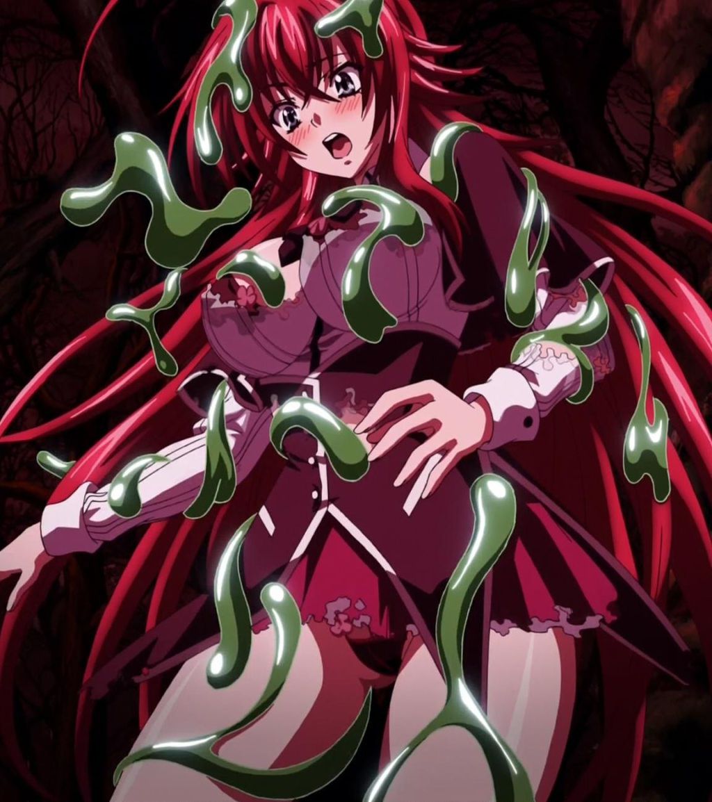 Rias's erotic secondary erotic images are full of boobs! 【High School D×D】 8