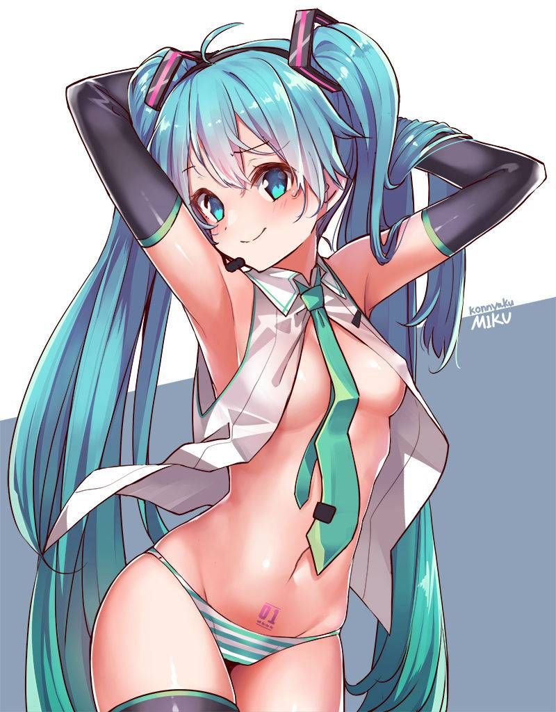 【Vocaloid】High-quality erotic images that can be made into Hatsune Miku wallpaper (PC / smartphone) 14