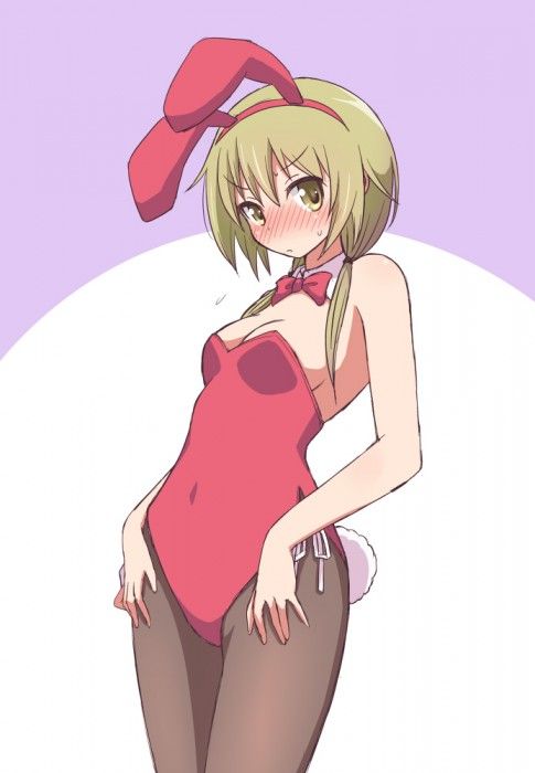 No waiting for the erotic image of the bunny girl! 13