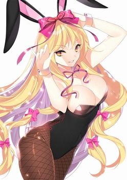 No waiting for the erotic image of the bunny girl! 18