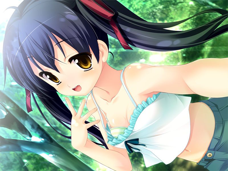 2D Black hair twin tail is the strongest, isn't it? 50 erotic images 23
