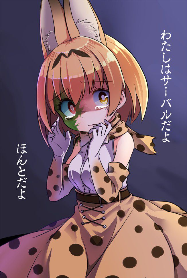 Erotic image that comes through the serval of Ahe face that is about to fall into pleasure! 【Kim no Friends】 22