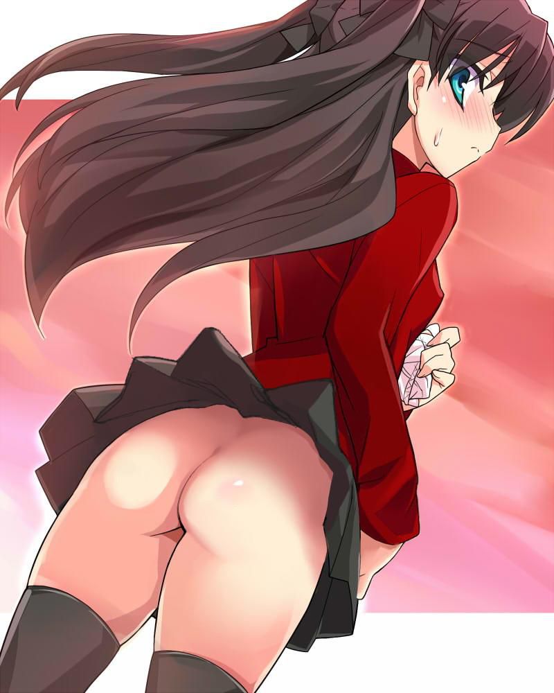 Rin Tosaka's erotic secondary erotic images are full of boobs! 【Fate】 2