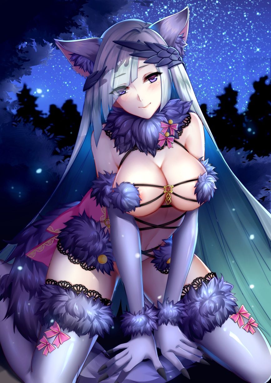 sex image of Brunhilde! 【Fate】 9