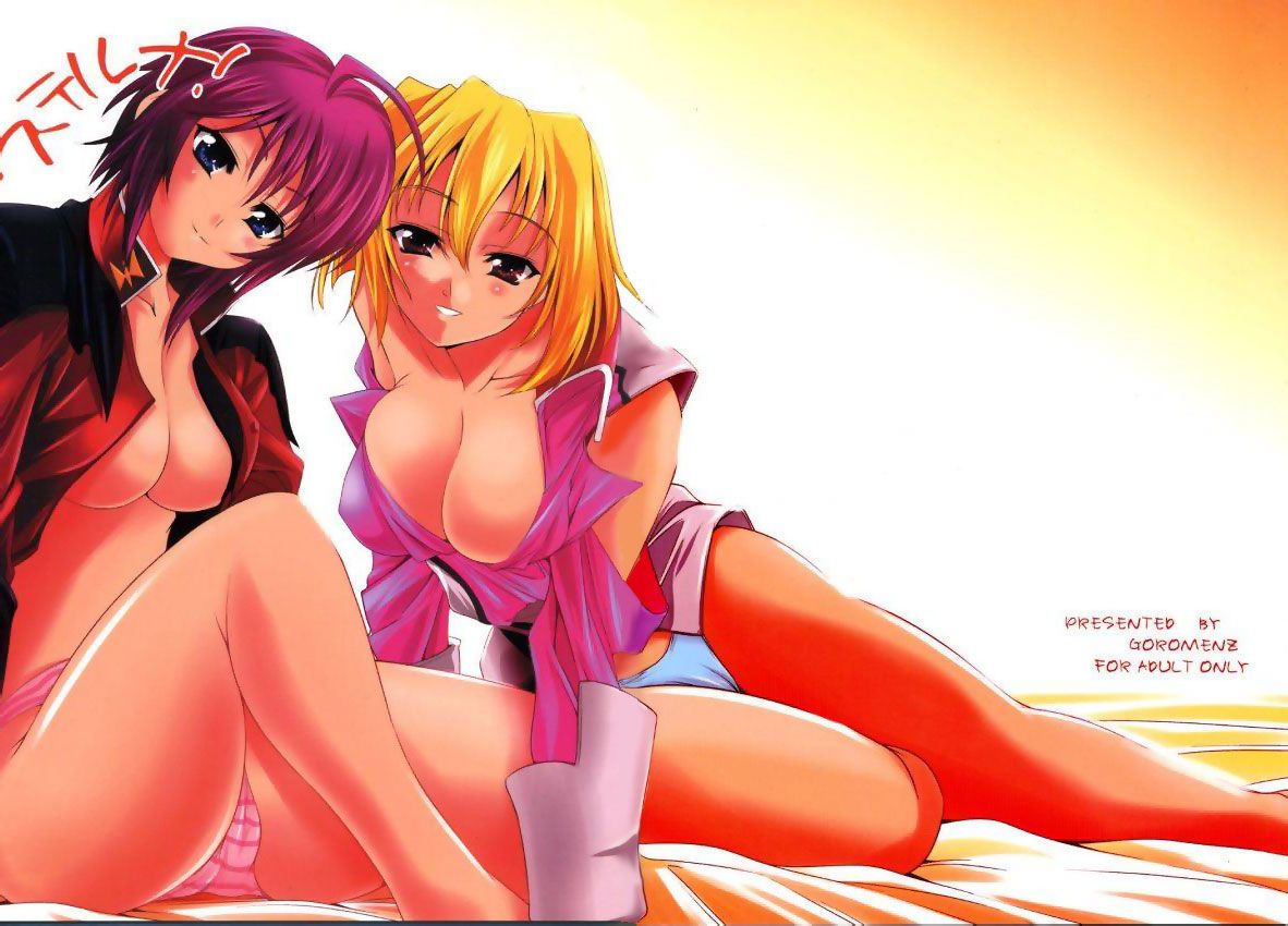 [Mobile Suit Gundam SEED] I will paste the erotic cute images of Luna Maria together for free ☆ 10