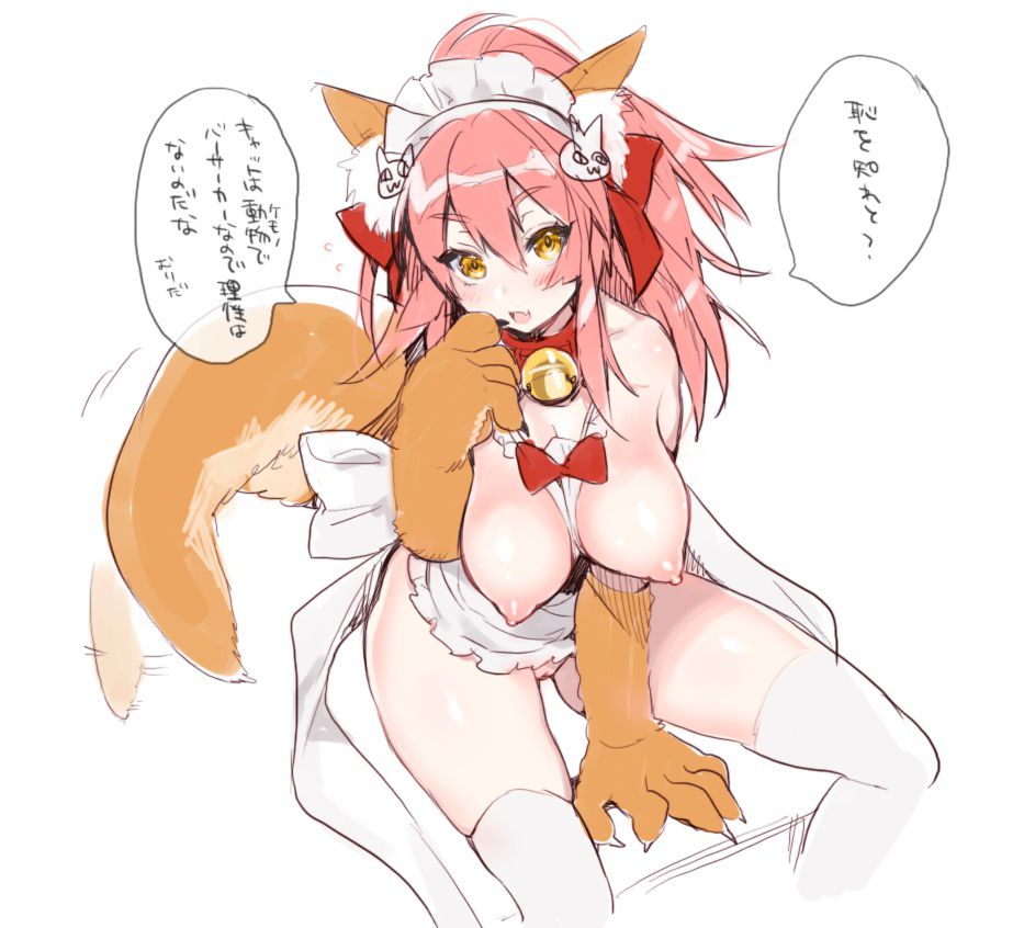 [Erotic image] Character image in front of Tamamo that you want to refer to fate erotic cosplay 17