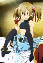 [Sword Art Online] cute secondary erotic image with silica echi 5