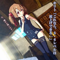 [Sword Art Online] cute secondary erotic image with silica echi 8