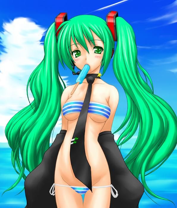 [Vocalistoid] Hatsune Miku's cute H secondary erotic image 17