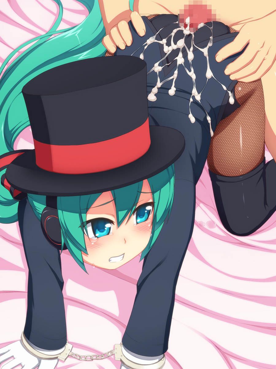 [Vocalistoid] Hatsune Miku's cute H secondary erotic image 3