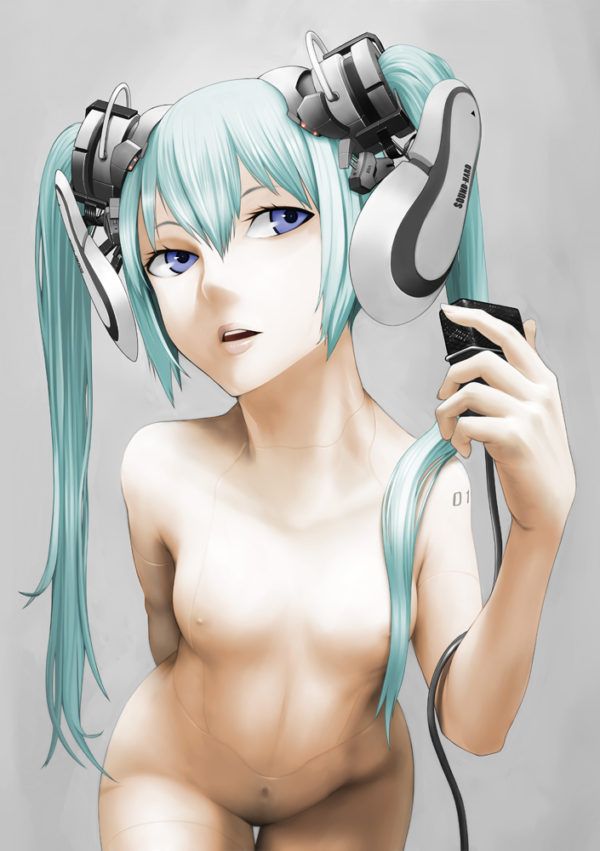 【Vocalistoid】Hatsune Miku's free (free) secondary erotic image collection 13