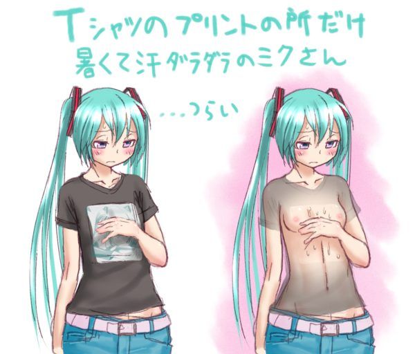 【Vocalistoid】Hatsune Miku's free (free) secondary erotic image collection 14