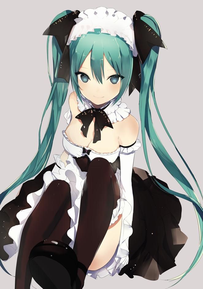 【Vocalistoid】Hatsune Miku's free (free) secondary erotic image collection 17