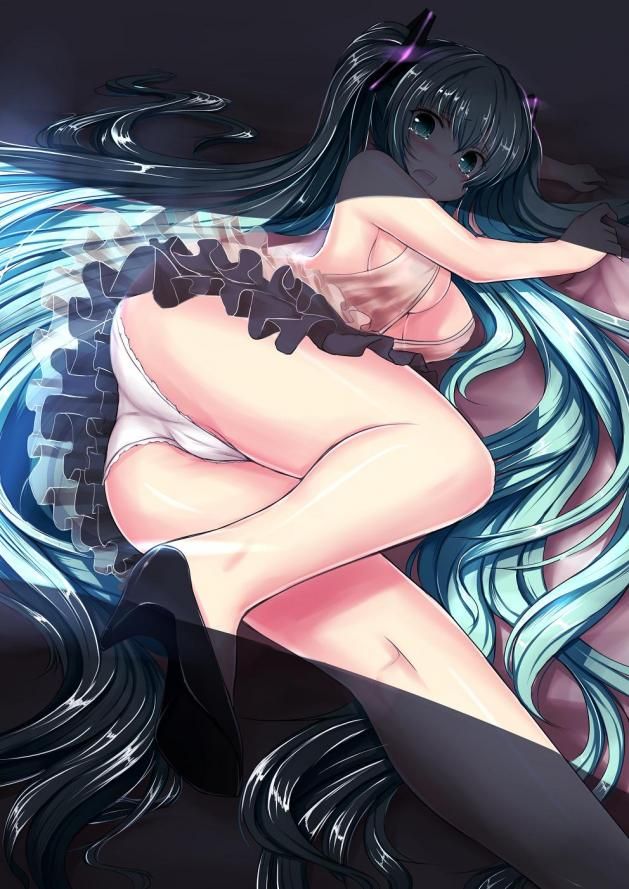 【Vocalistoid】Hatsune Miku's free (free) secondary erotic image collection 21