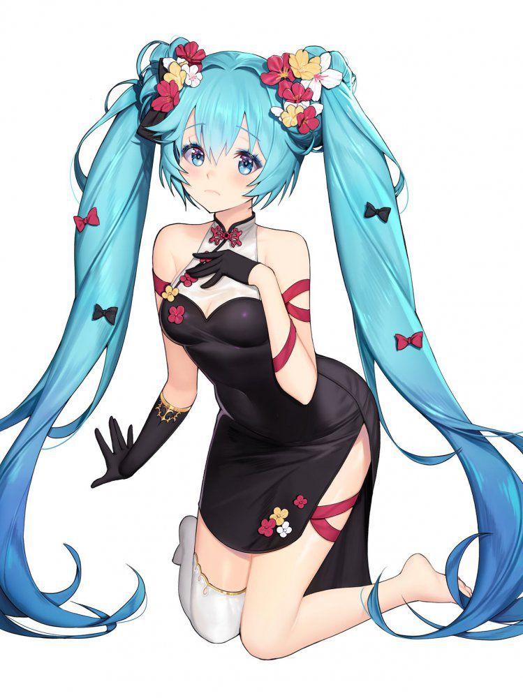 【Erotic image】Character image of Hatsune Miku who wants to refer to the erotic cosplay of vocalist 12