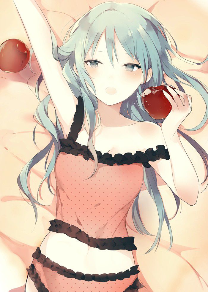 【Erotic image】Character image of Hatsune Miku who wants to refer to the erotic cosplay of vocalist 13