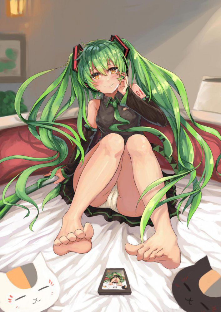 【Erotic image】Character image of Hatsune Miku who wants to refer to the erotic cosplay of vocalist 6