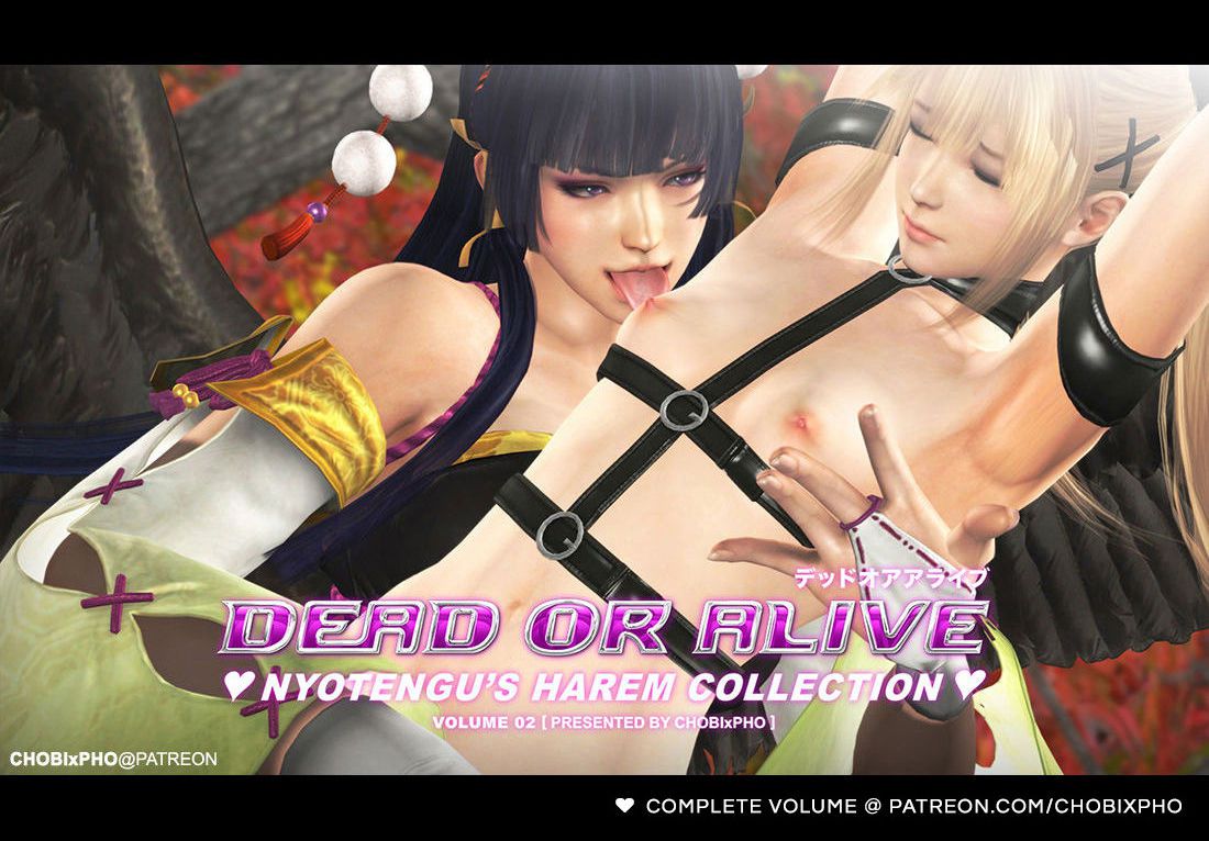 DEAD OR ALIVE / MAI SHIRANUI: HARVEST NIGHT [CHOBIxPHO] デッドオアアライブ 31