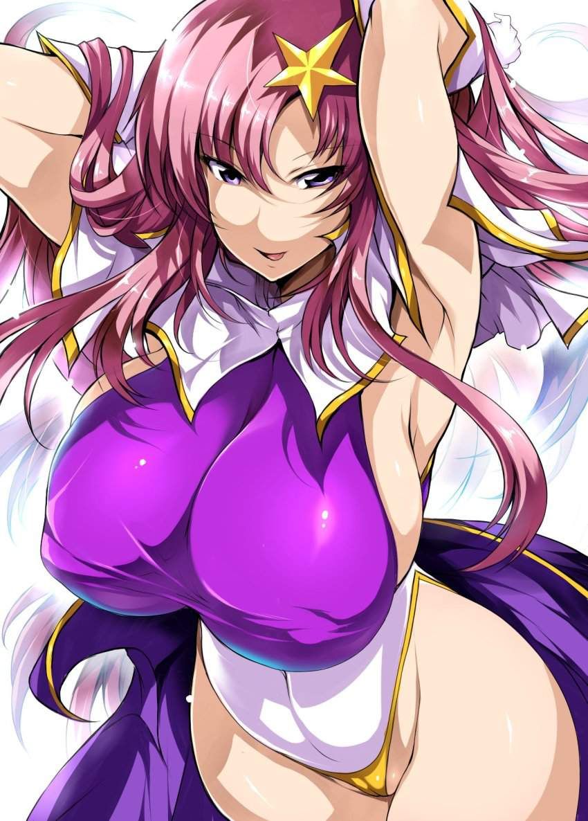 Publish the mobile suit Gundam SEED image folder! 18