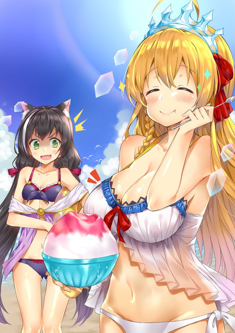 [Secondary erotic] princess connect appearance character erotic image collection is here! 20