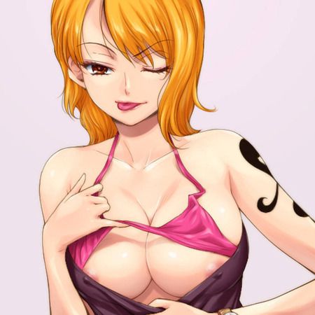 One piece: Nami's intense erotic and hamehame secondary erotic image summary 14
