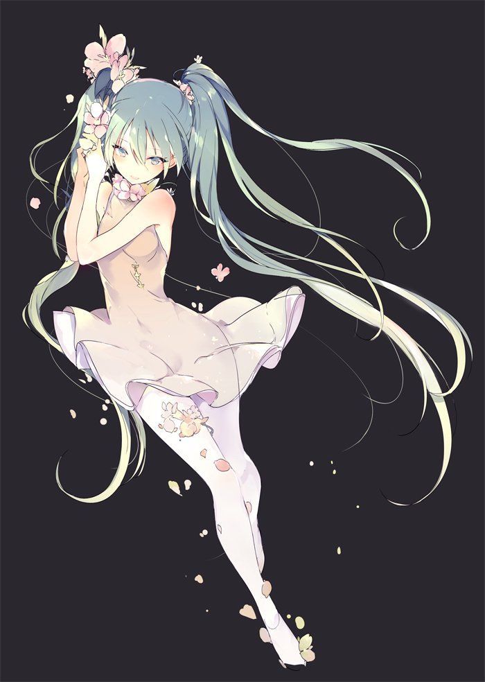 Erotic image I tried to collect the image of cute Hatsune Miku, but it's too erotic ... (vocalist) 10