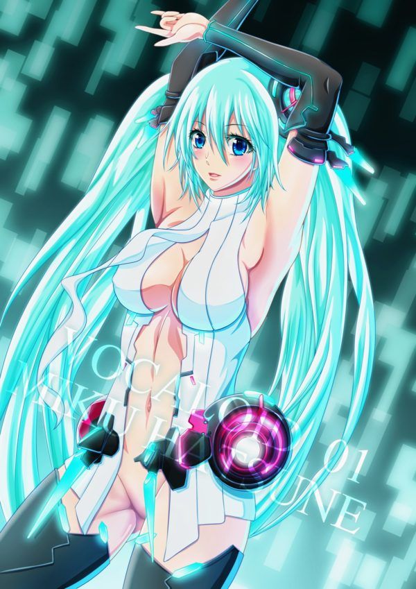 Erotic image I tried to collect the image of cute Hatsune Miku, but it's too erotic ... (vocalist) 13
