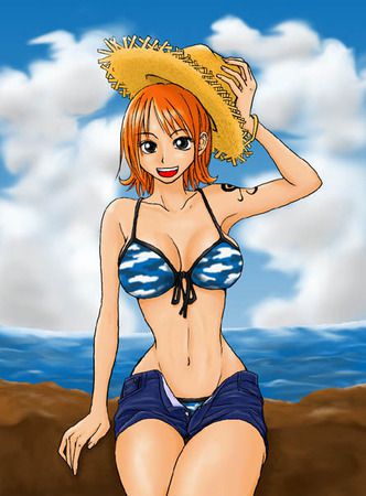 【One piece】Nami's cute picture furnace image summary 16