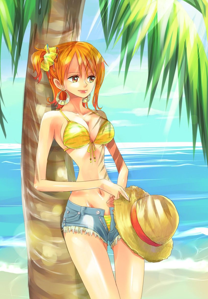 【One piece】Nami's cute picture furnace image summary 2