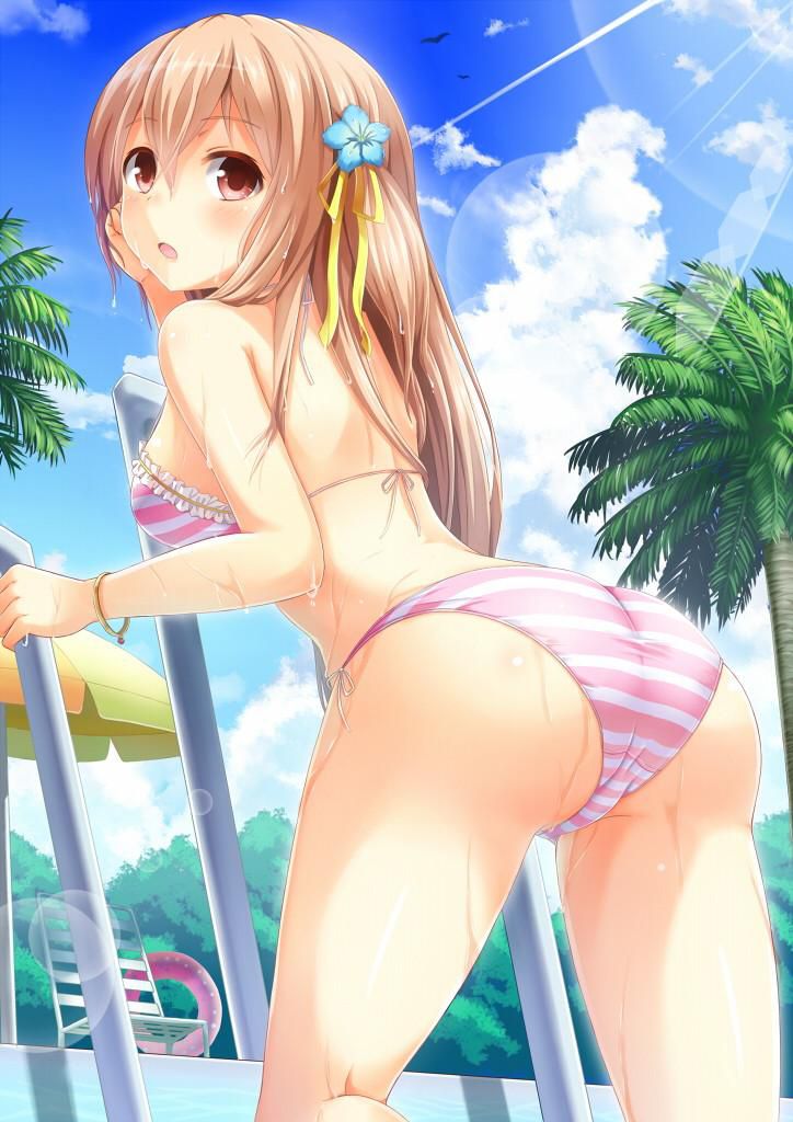 I'm going to paste erotic cute images of swimsuits! 2