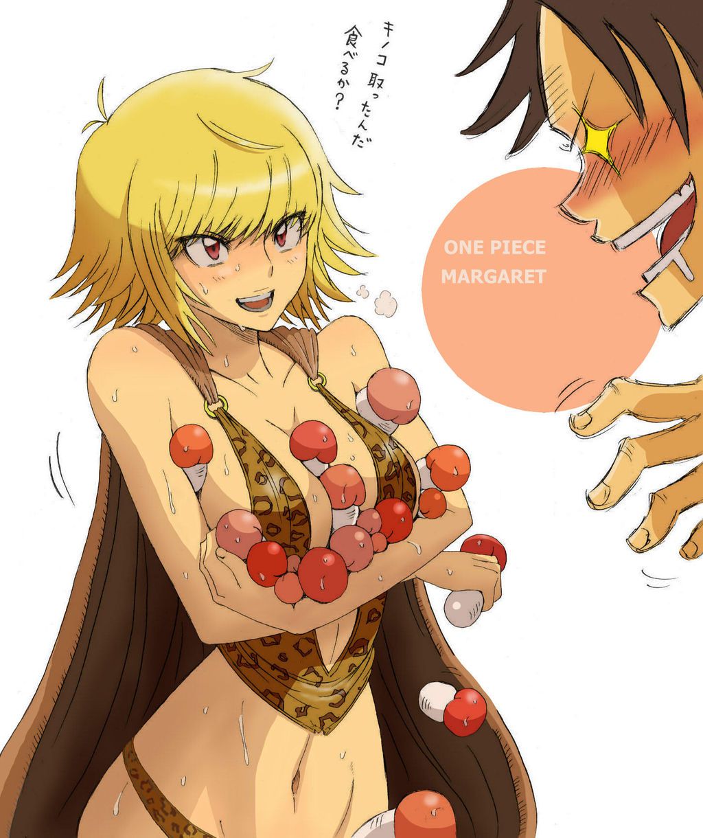 [One piece] secondary erotic image that Margaret and Hamehame rich H want to want 3