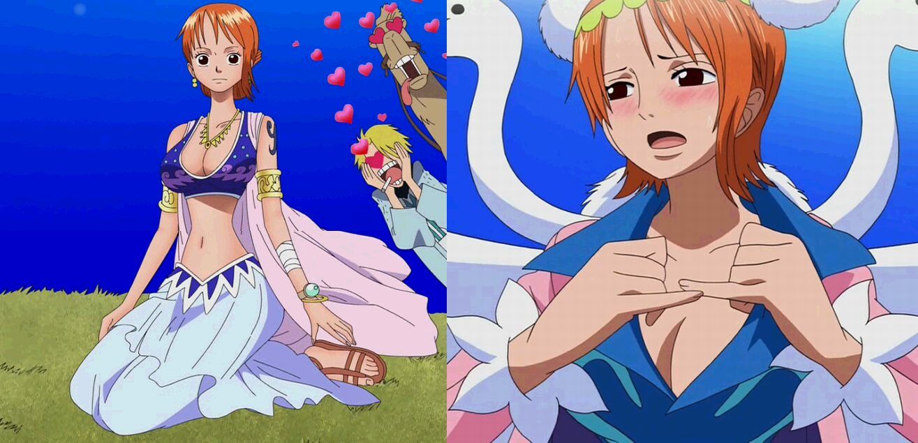 Erotic images about one piece 11