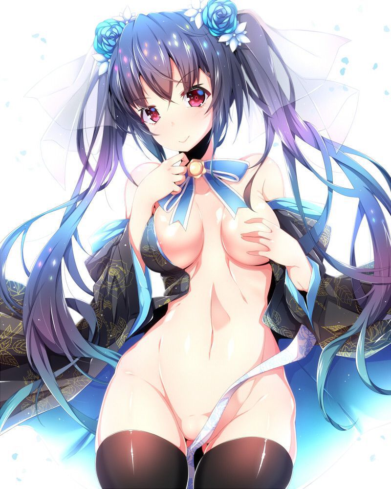 I want an erotic image of twin tails! 14