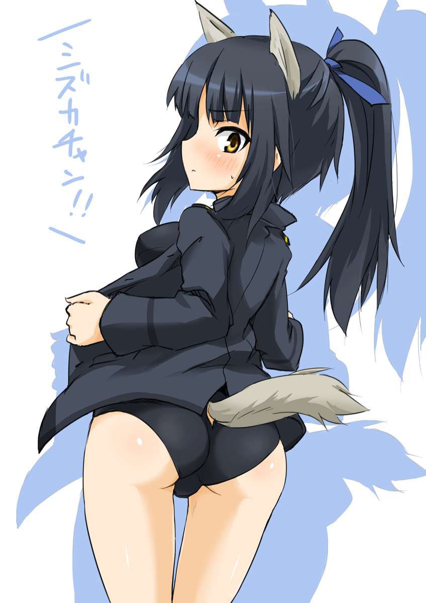 Strike Witches image is too erotic wwwwwww 14