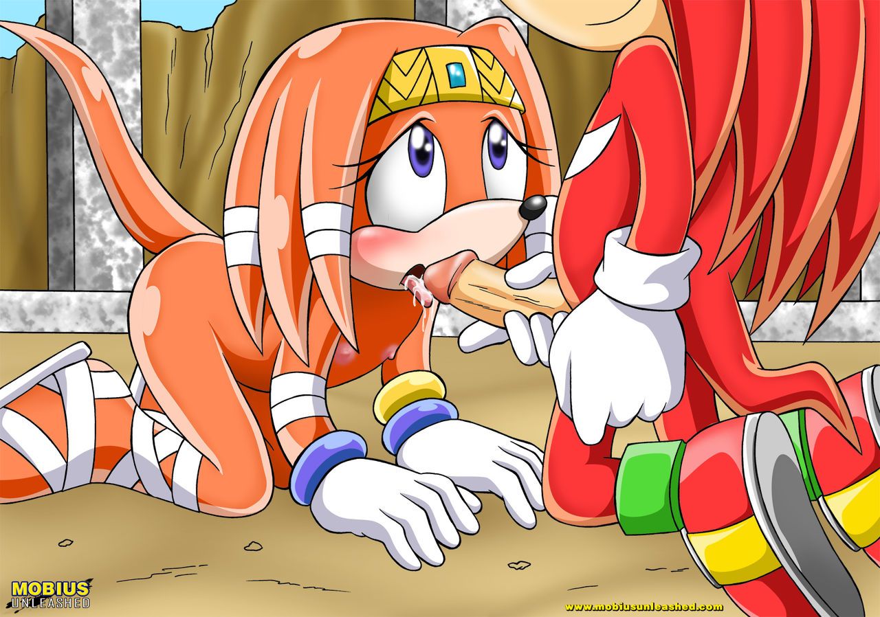 Mobius Unleashed: Tikal the Echidna 20