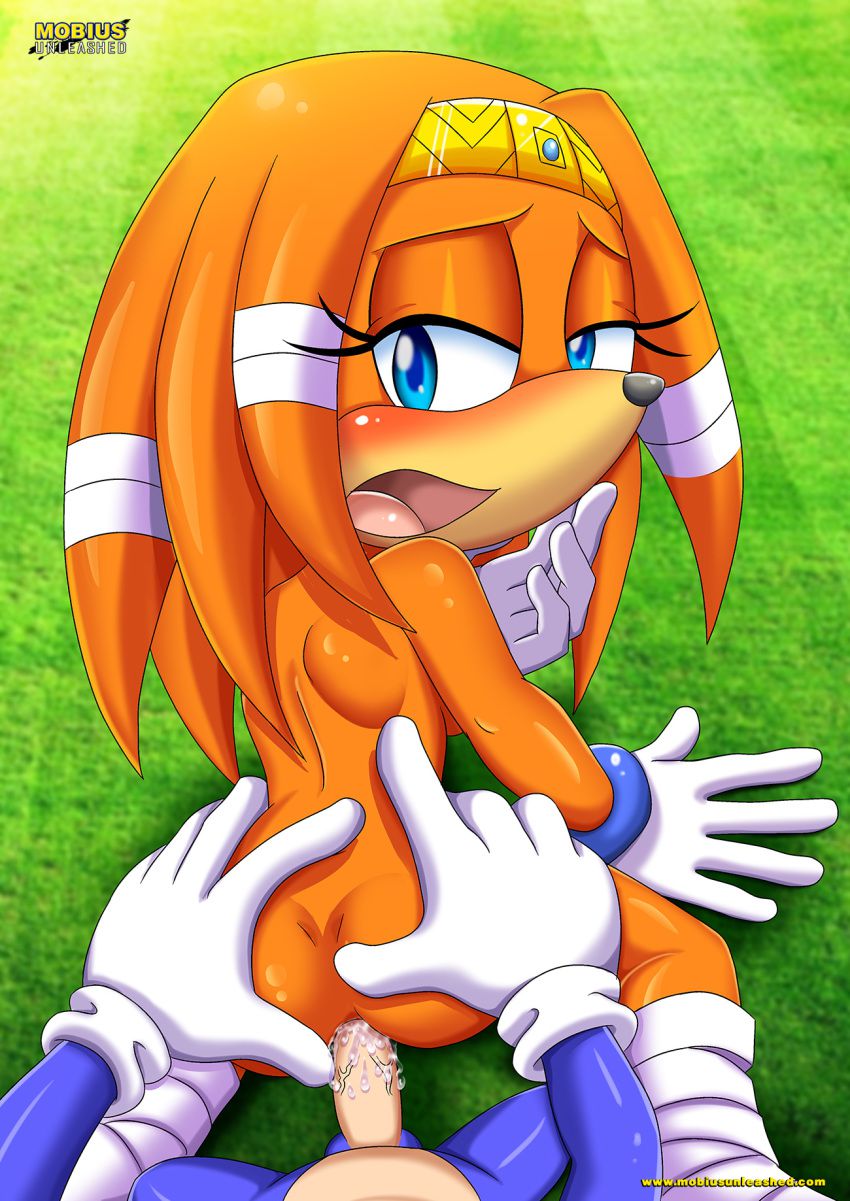 Mobius Unleashed: Tikal the Echidna 30