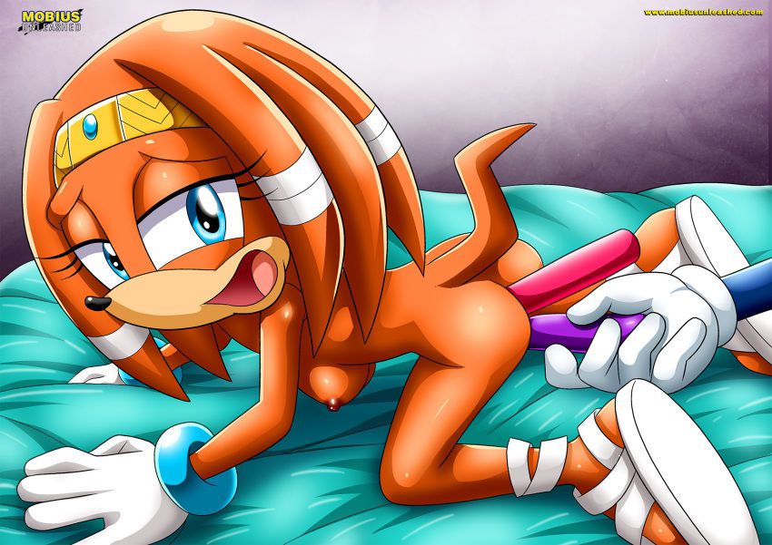 Mobius Unleashed: Tikal the Echidna 47
