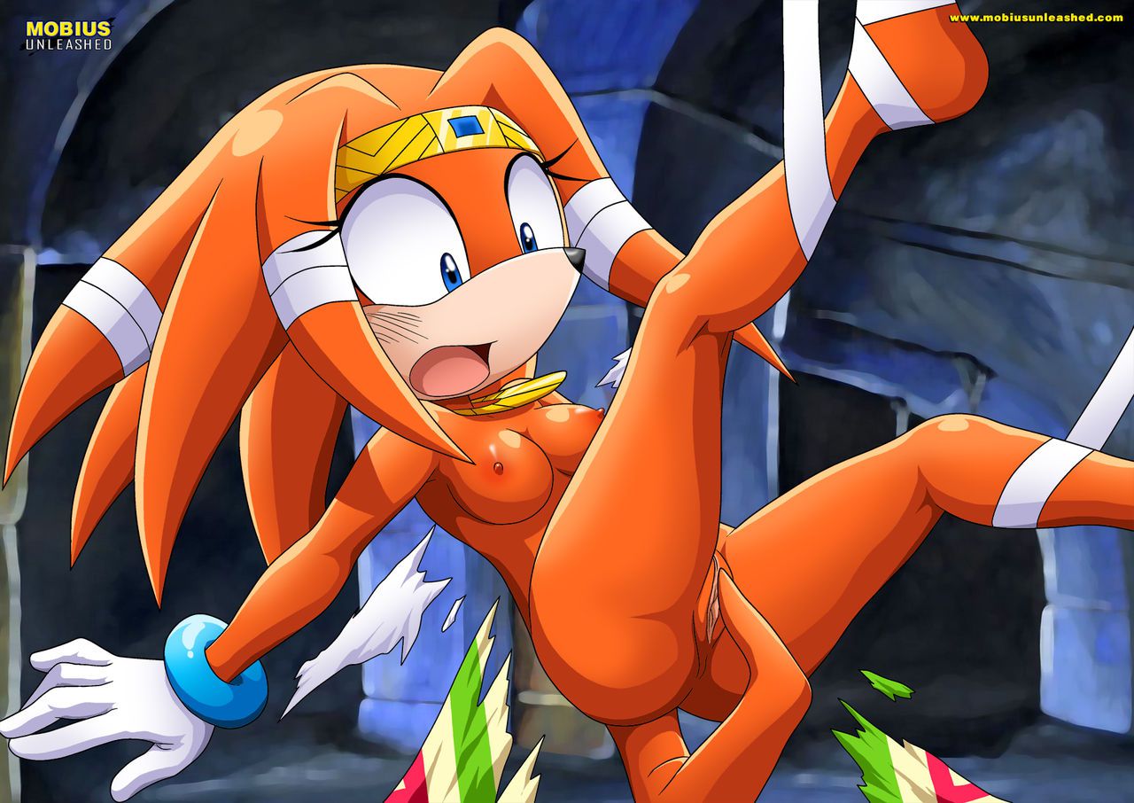 Mobius Unleashed: Tikal the Echidna 58
