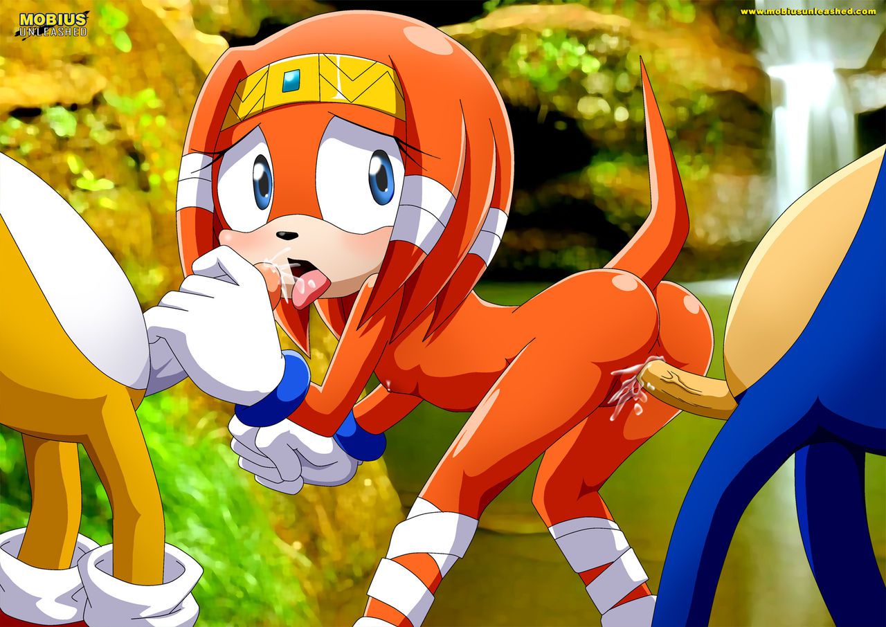 Mobius Unleashed: Tikal the Echidna 68