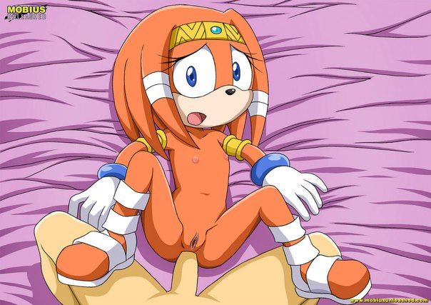 Mobius Unleashed: Tikal the Echidna 7