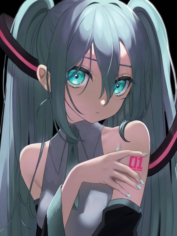 Erotic image I tried to collect the image of cute Hatsune Miku, but it's too erotic ... (vocalist) 12